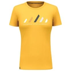 Tee-shirt De Rando Salewa Pure Stripes Dry T-Shirt W Gold